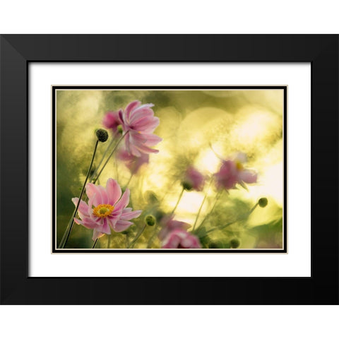 Dance Of The Flowers Black Modern Wood Framed Art Print with Double Matting by Moore, Steve