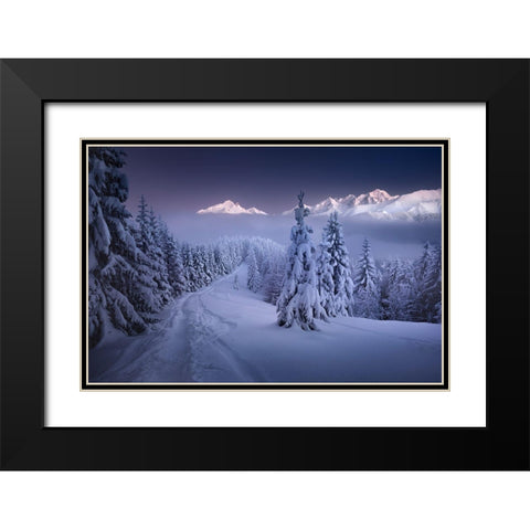 In The Winter Black Modern Wood Framed Art Print with Double Matting by Nienartowicz, Karol