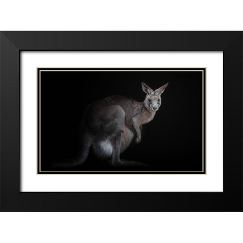 Kangaroo Black Modern Wood Framed Art Print with Double Matting by Kamera
