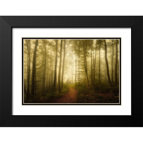 Charm Of The Ephemeral Black Modern Wood Framed Art Print with Double Matting by Maier, Norbert
