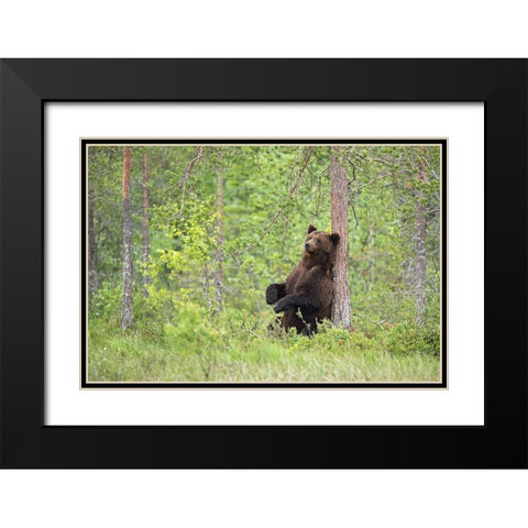 Relax Black Modern Wood Framed Art Print with Double Matting by Pozzi, Marco