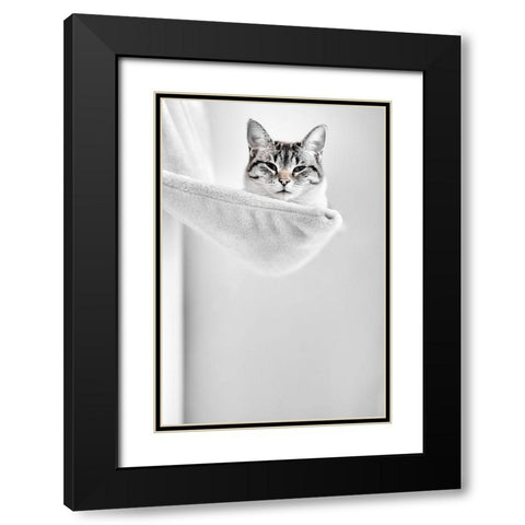 Elevated Cat Black Modern Wood Framed Art Print with Double Matting by Danek, Pascal