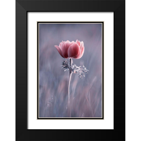 Pink ! So What ? Black Modern Wood Framed Art Print with Double Matting by Bravin, Fabien