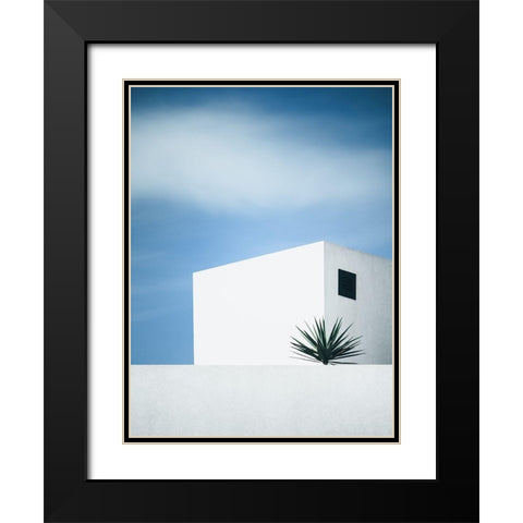Palm Tree Black Modern Wood Framed Art Print with Double Matting by Wasinger, Renate