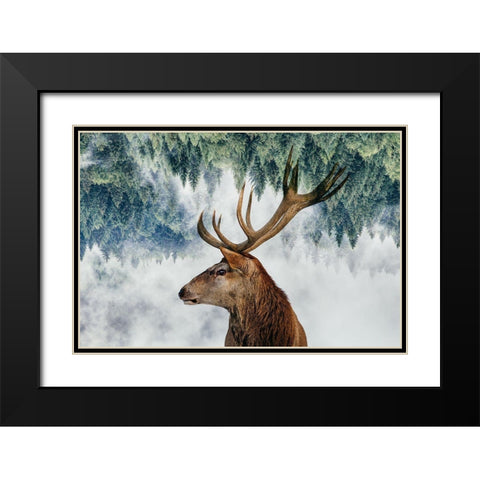 The Deer And The Woods Black Modern Wood Framed Art Print with Double Matting by Beata, Angyalosi