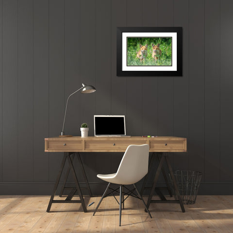Brothers Black Modern Wood Framed Art Print with Double Matting by Deng, Larry