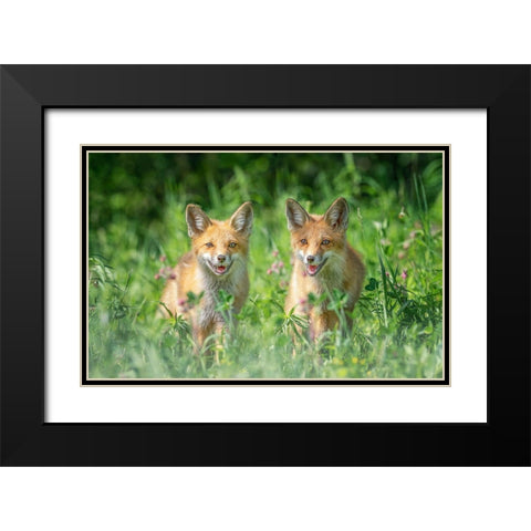 Brothers Black Modern Wood Framed Art Print with Double Matting by Deng, Larry