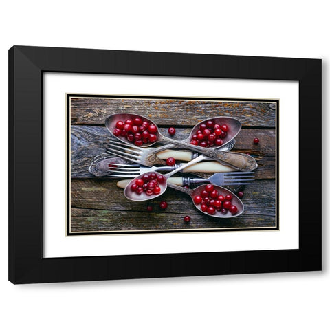 Spoonsacranberry Black Modern Wood Framed Art Print with Double Matting by Karina, Aleksandrova