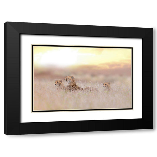 Perspective Image