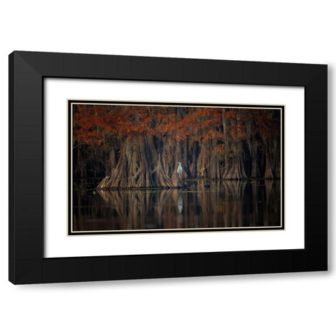 Tranquil Lake Black Modern Wood Framed Art Print with Double Matting by Zheng, Michael