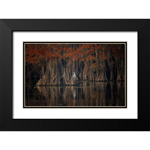 Tranquil Lake Black Modern Wood Framed Art Print with Double Matting by Zheng, Michael