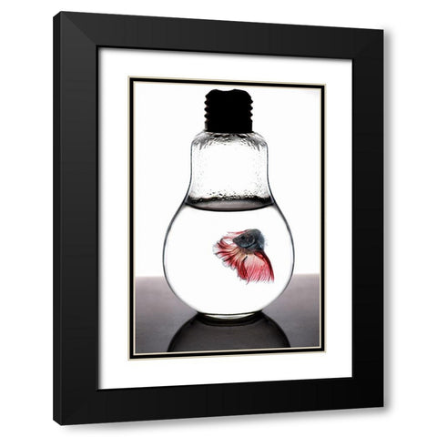 Betta Fish Red Black Modern Wood Framed Art Print with Double Matting by Nasution, Girdan