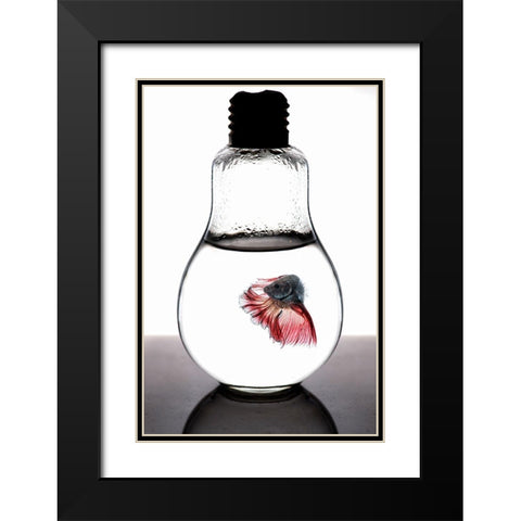 Betta Fish Red Black Modern Wood Framed Art Print with Double Matting by Nasution, Girdan