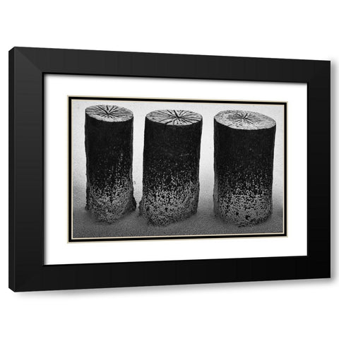 Wooden Wave Breaker Black Modern Wood Framed Art Print with Double Matting by Ebert, Steffen