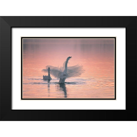 Dancing For You Black Modern Wood Framed Art Print with Double Matting by Ning, Aidong