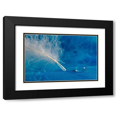 Drop Black Modern Wood Framed Art Print with Double Matting by Pavlasek, Tom