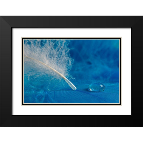 Drop Black Modern Wood Framed Art Print with Double Matting by Pavlasek, Tom