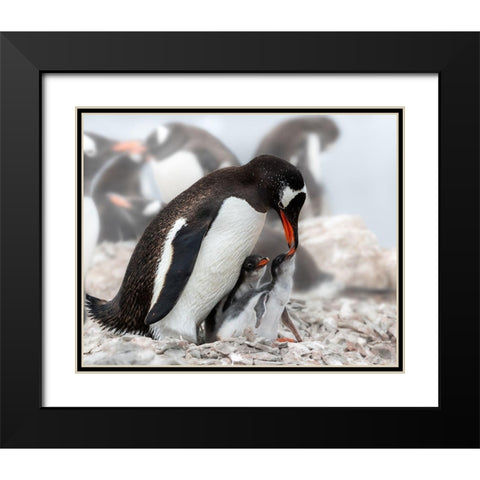 Qi Am Hungryq Black Modern Wood Framed Art Print with Double Matting by And Wei, Siyu