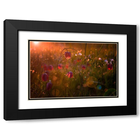 Potpourri Black Modern Wood Framed Art Print with Double Matting by Mijer, Wil