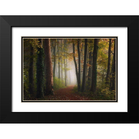 Autumn Colorful Forest Black Modern Wood Framed Art Print with Double Matting by Ye
