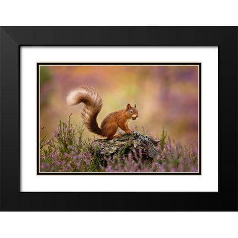 On Watch Black Modern Wood Framed Art Print with Double Matting by O Mahony, Kieran