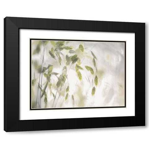 Grass Blades Black Modern Wood Framed Art Print with Double Matting by Talen, Nel