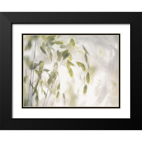 Grass Blades Black Modern Wood Framed Art Print with Double Matting by Talen, Nel