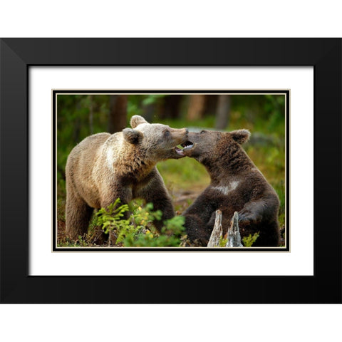Mouth-To-Mouth Black Modern Wood Framed Art Print with Double Matting by Merino, Nicolas