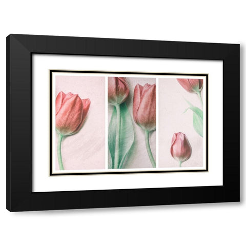 Red Elegance Black Modern Wood Framed Art Print with Double Matting by Devos, Delphine