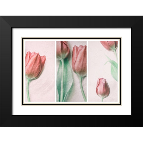 Red Elegance Black Modern Wood Framed Art Print with Double Matting by Devos, Delphine