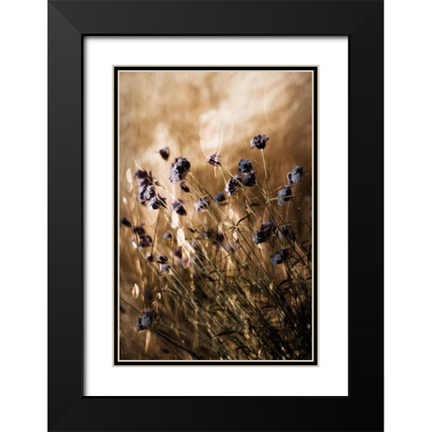 To Be Free In Light Black Modern Wood Framed Art Print with Double Matting by Devos, Delphine