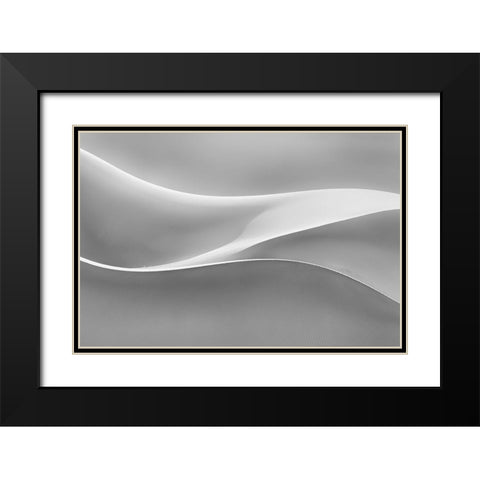 Restless Black Modern Wood Framed Art Print with Double Matting by Asghar Alimoradi, Ali