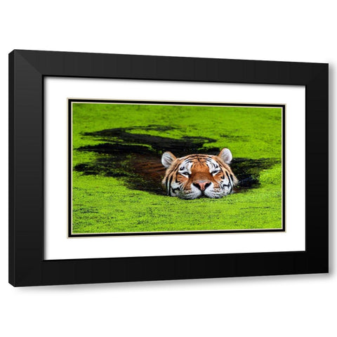 Untitled Black Modern Wood Framed Art Print with Double Matting by Keller