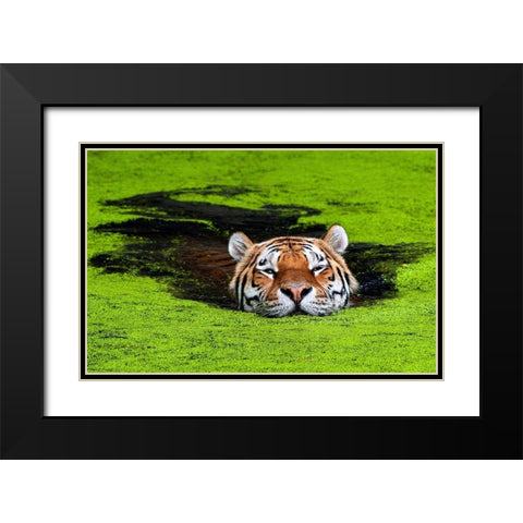 Untitled Black Modern Wood Framed Art Print with Double Matting by Keller