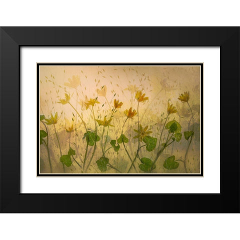 Sunny Flowers Black Modern Wood Framed Art Print with Double Matting by Talen, Nel