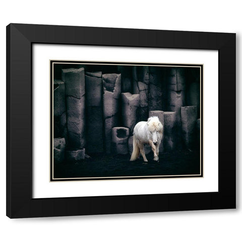 Icelandic Horse Black Modern Wood Framed Art Print with Double Matting by Kort, Bragi