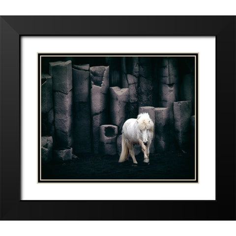 Icelandic Horse Black Modern Wood Framed Art Print with Double Matting by Kort, Bragi