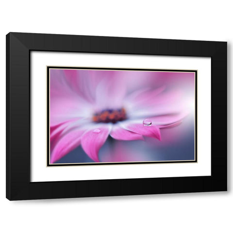 Untitled Black Modern Wood Framed Art Print with Double Matting by Nan, Juliana