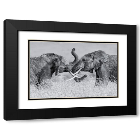 Elephant Qtai Chiq Black Modern Wood Framed Art Print with Double Matting by Zuo, Jun