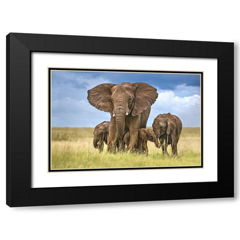 Elephant Mom Protecting Her Calves Black Modern Wood Framed Art Print with Double Matting by Ortega, Xavier