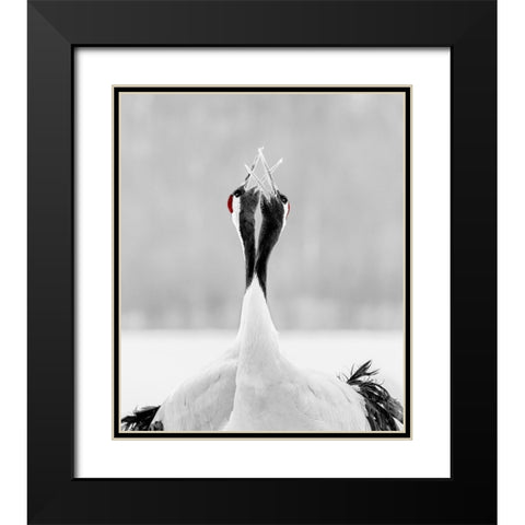 Sing For Morning Black Modern Wood Framed Art Print with Double Matting by Fischer, Jie