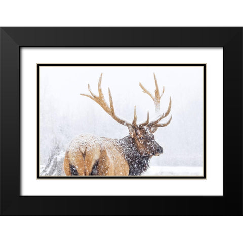 Winter Black Modern Wood Framed Art Print with Double Matting by Liu, Richard