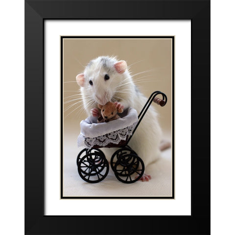 My Teddybear Black Modern Wood Framed Art Print with Double Matting by van Deelen, Ellen