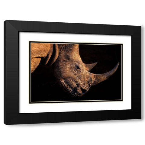 Rhinoceros Black Modern Wood Framed Art Print with Double Matting by Fischer, Jie