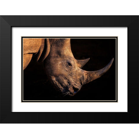 Rhinoceros Black Modern Wood Framed Art Print with Double Matting by Fischer, Jie