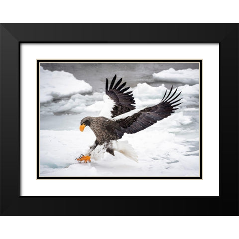 Still Want To Run? Black Modern Wood Framed Art Print with Double Matting by Wong, Fion