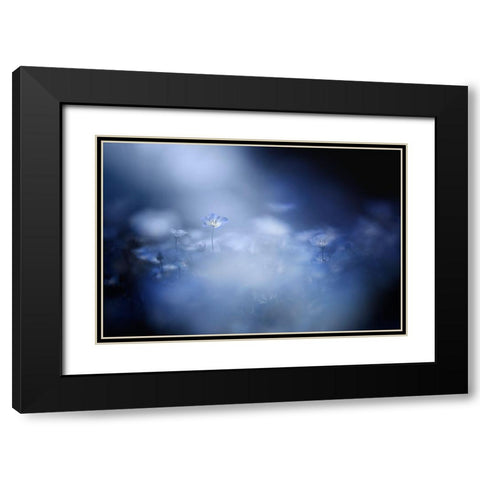 Gentle Light Black Modern Wood Framed Art Print with Double Matting by Suzuki, Takashi