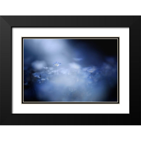 Gentle Light Black Modern Wood Framed Art Print with Double Matting by Suzuki, Takashi