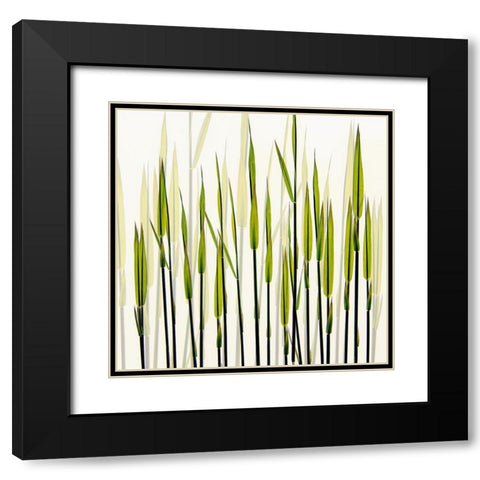 A New Beginning Black Modern Wood Framed Art Print with Double Matting by Talen, Nel