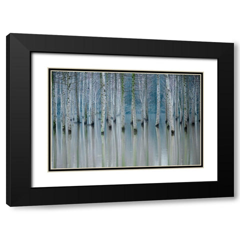 Enchanted Forest Black Modern Wood Framed Art Print with Double Matting by Butnaru, Ralu